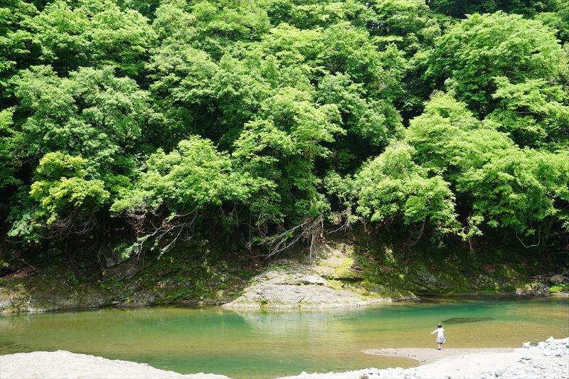 道志川沿いキャンプ場リスト11 神奈川県相模原市緑区版 スカイファルコン